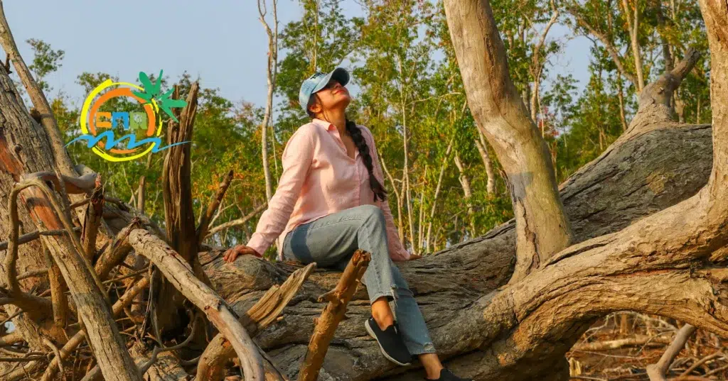 sundarban tour