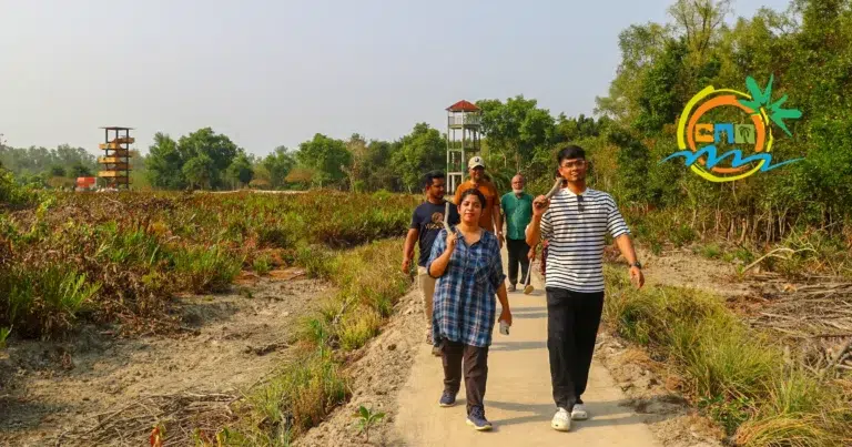 sundarban