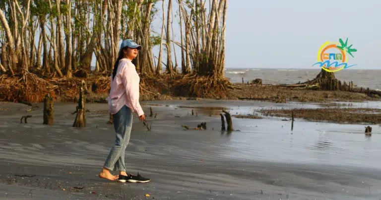 sundarban